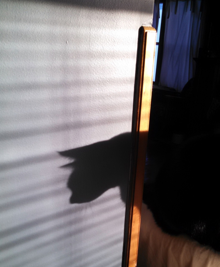 bagheera shadow
